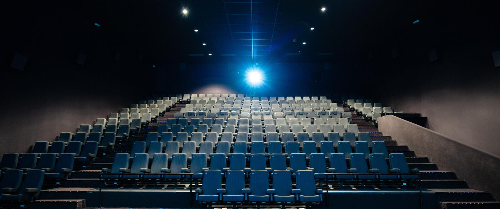 FY results