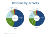 Click to View: 10. Revenue by activity